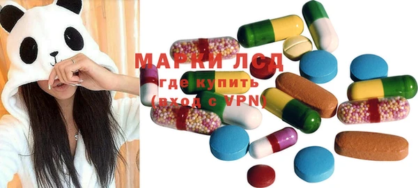 ПСИЛОЦИБИНОВЫЕ ГРИБЫ Вязьма
