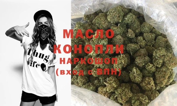 индика Вязники