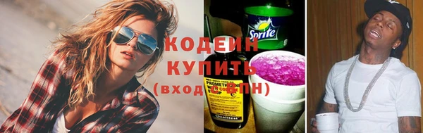 индика Вязники