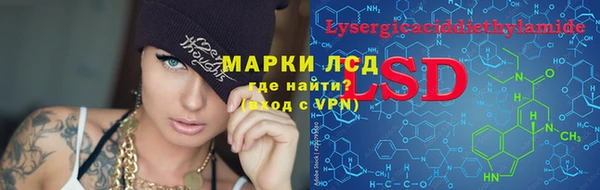 шишки Вяземский