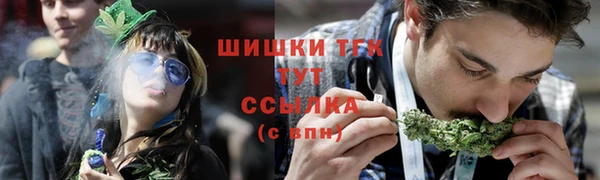 индика Вязники