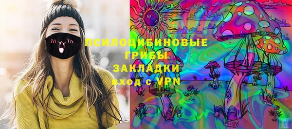 ПСИЛОЦИБИНОВЫЕ ГРИБЫ Вязьма