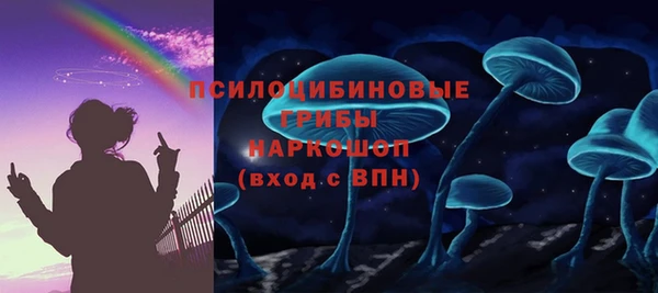 шишки Вяземский