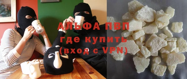 индика Вязники