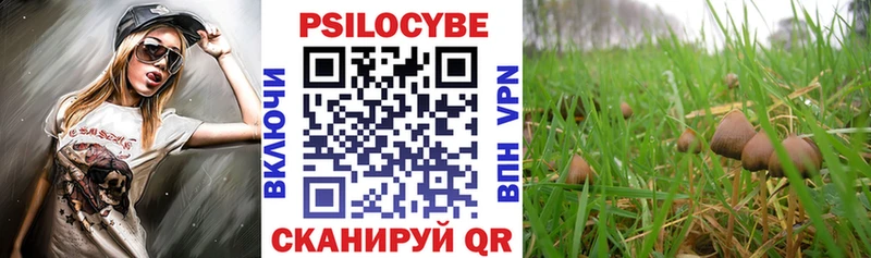 гидра вход  Владикавказ  Галлюциногенные грибы ЛСД 